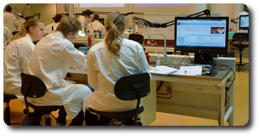 Students working in the lab.
