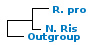 <strong>Fig. 44:1.</strong> Phylogenetic tree based on 16S rRNA gene sequences, which illustrates the relations between members of the classes <i>α-proteobacteria</i> and <i>β-proteobacteria</i>, which are indicated with vertical bars. All taxa in the tree belong to the phylum <i>Proteobacteria</i> except <i>Fusobacterium necrophorum</i> subsp. <i>necrophorum</i>, which belongs to the phylum <i>Fusobacteria</i>. Names of taxa in blue are included in VetBact and taxa in bold are included in this  bacterial page.</p> 

<p>The tree was generated on line by using the computer program "Tree Builder" at <a href="http://rdp.cme.msu.edu/" target="_blank">the website of RDP</a>. <i>F. necrophorum</i> subsp. <i>necrophorum</i> was chosen as outgroup. (T) means type strain. Date 2015-12-10.</p>