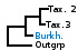 <strong>Fig. 51:1.</strong> Phylogenetic tree based on 16S rRNA gene sequences, which illustrates the relations between members of the classes <i>α-proteobacteria</i> and <i>β-proteobacteria</i>, which are indicated with vertical bars. All taxa in the tree belong to the phylum <i>Proteobacteria</i> except <i>Fusobacterium necrophorum</i> subsp. <i>necrophorum</i>, which belongs to the phylum <i>Fusobacteria</i>. Names of taxa in blue are included in VetBact and taxa in bold are included in this  bacterial page.</p> 

<p>The tree was generated on line by using the computer program "Tree Builder" at <a href="http://rdp.cme.msu.edu/" target="_blank">the website of RDP</a>. <i>F. necrophorum</i> subsp. <i>necrophorum</i> was chosen as outgroup. (T) means type strain. Date: 2016-01-14.</p>